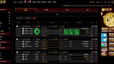 도지벳 실벳 297만원 개먹튀 환전버튼 없음