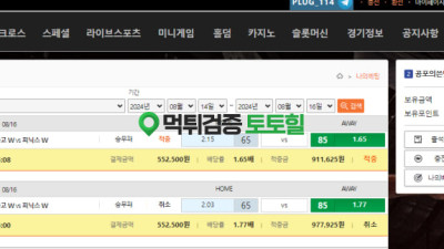 개악질 플러그
