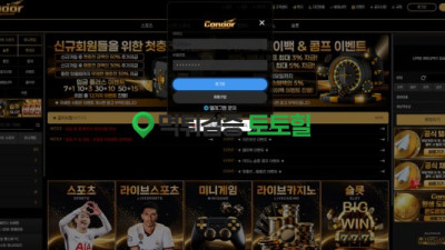 콘도르