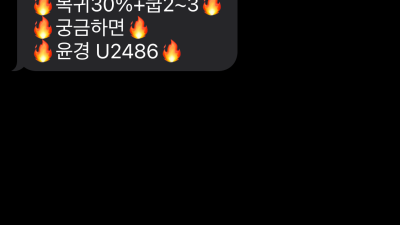 무브 먹튀