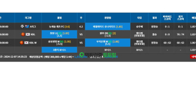 다우벳 쌩먹튀