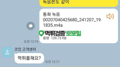 현 코인 구 금손 중적 먹튀