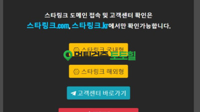 스타링크 먹튀