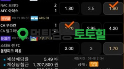 세이프파워볼