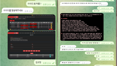 코이