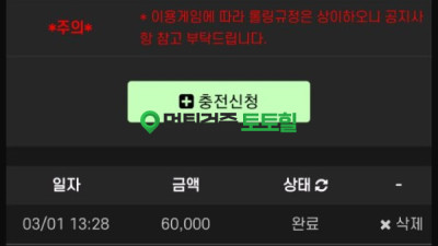 꿀벳아니고 끌베이