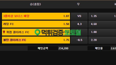 레드라인 먹튀조심!!!
