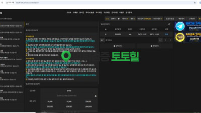 사우스 환전버튼 X
