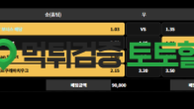 비카카지노