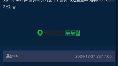 플레인
