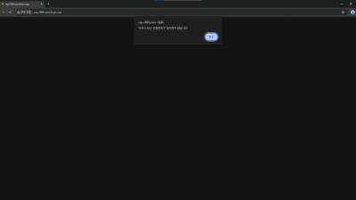 캐쉬 먹튀