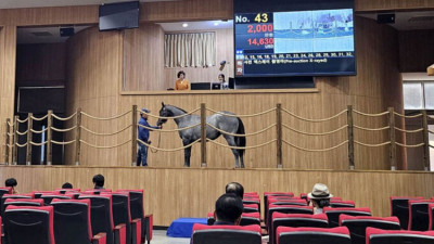 2023년 첫 1세 경주마 경매…51번 상장마 1억3000만원 낙찰