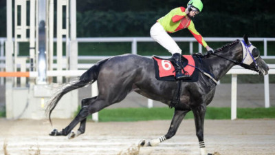 국산 암말 2000m 장거리 경주…퀸즈투어 2관문 승자는