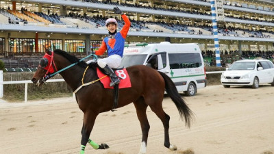 위너스맨 제19회 대통령배 출전, G1 그랜드 슬램 달성하나?