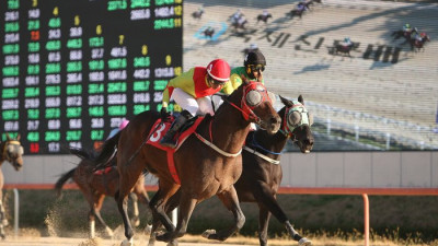 ‘디펜딩 챔피언’ 어마어마, 안토니오 기수와 함께 국제신문배 우승