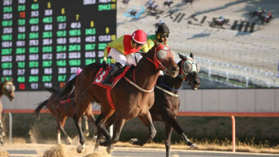 '어마어마' 올해도 정상…중단거리 최강마로 '우뚝'