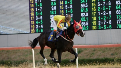 ‘브리더스컵 루키&퀸’ 10일 렛츠런파크 부산경남 개최