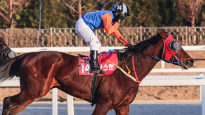 경마 축제의 피날레…'그랑프리' 들어올릴 최고 경주마는?