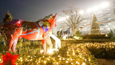 한국마사회 성탄절 이벤트 경마 시행