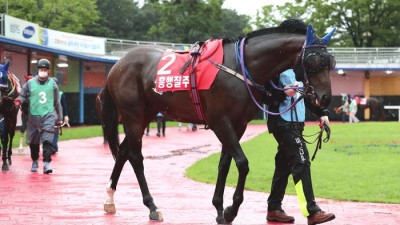 미리 보는 그랑프리! 1등급 2300m 최장거리 하이라이트 경주 주목