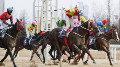 서울·부산경남, 상반기 시즌 시작…25일까지 108경주 열려