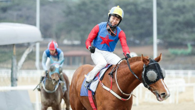 [경마] 빅스고, 2024년 대상경주의 시작 ‘세계일보배’ 포문을 열다