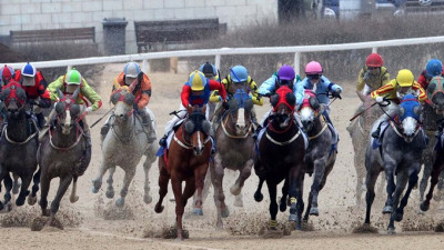 1.2m 차 가장 먼저 결승선에… 빅스고 ‘최강마’ 등극