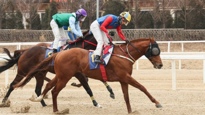 빅스고, 2024년 대상경주의 시작‘세계일보배 ’ 우승