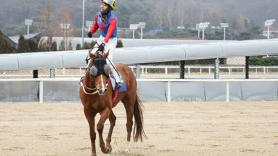 빅스고, 2024년 첫 대상경주 '세계일보배' 우승