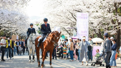 이색 콘텐츠 풍성, 렛츠런파크 서울 벚꽃축제 29일 시작