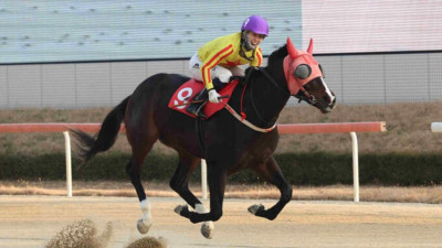 KRA컵 마일 개막…'삼관마' 영예 가져갈 3세마는?