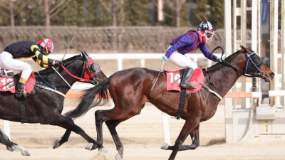 스테이어 시리즈 제2관문, YTN배 21일 개최