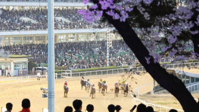 한국마사회 상반기 결산, 올해 최초 봄·가을 축제 연계 야간경마 시행