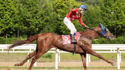 최우수 국산 3세마 가리자! 제24회 농림축산식품부장관배