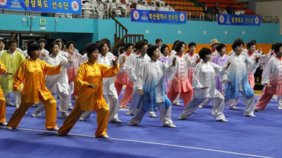 경남, 문체부장관배 전국생활체육우슈대회 종합우승…‘친환경 주제’ 참여형 이벤트도 빛났다