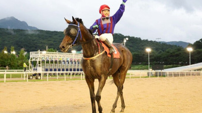 [경마] 최강 국산마 왕좌 주인공 가린다… 13일 대통령배 대상경주 개막