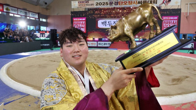 7번째 황소 번쩍! 태안군청 최성민, 문경단오장사씨름대회서 백두장사 올랐다