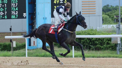 디펜딩챔프 스피드영 2연패 도전…글로벌히트 불참
