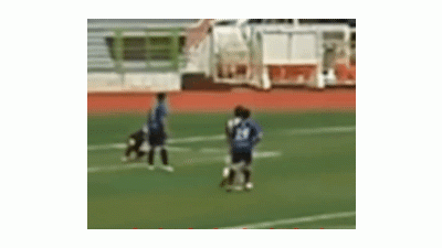 축구 K7 대회 경기 중 나온 후두부 가격… 폭력으로 얼룩진 한국 스포츠 ‘빨간불’