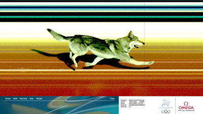 “내가 환각을 보나”…크로스컨트리 결승선 통과한 ‘네 개의 발’