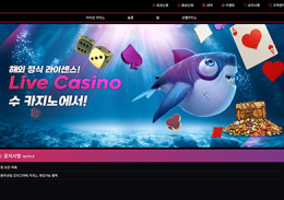 수카지노 정보