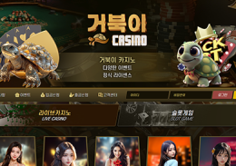 거북이카지노 정보