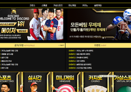 디스코드 정보
