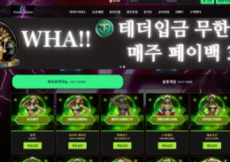 와카지노 정보