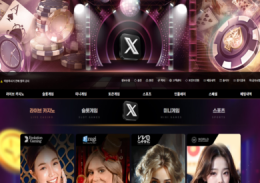 X 정보
