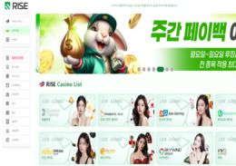 라이즈 정보