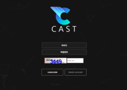 캐스트 정보