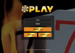 플레이 정보