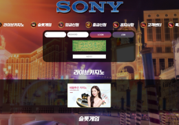 소니 정보
